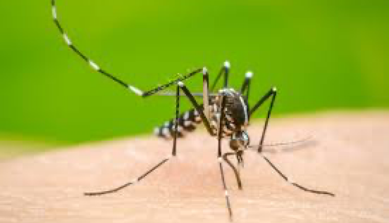 Alerta por posible caso de Dengue en San Cayetano