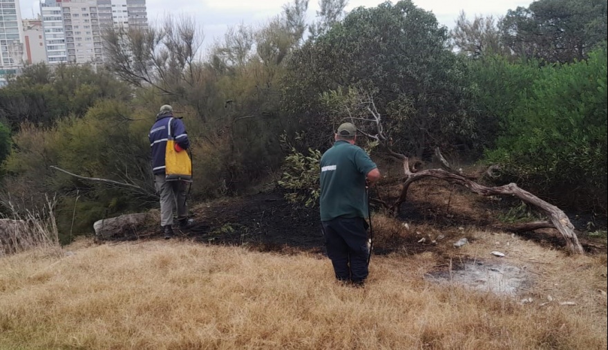 Personal de Guardaparques extinguió un peligroso foco de incendio en el Jardín de Rocas  