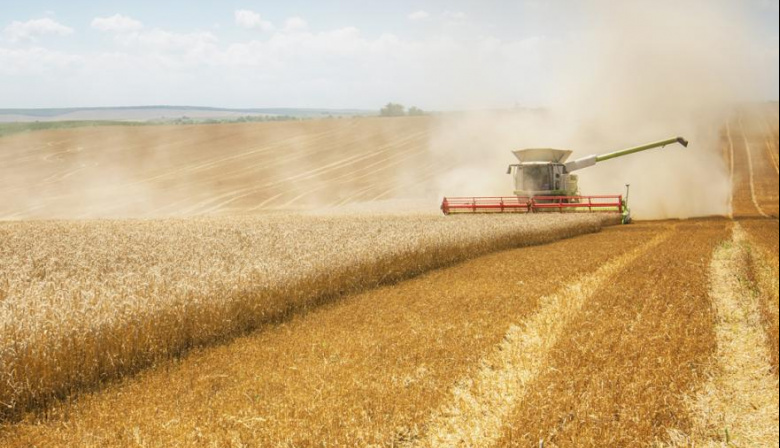 Argentina exportará por primera vez trigo a China