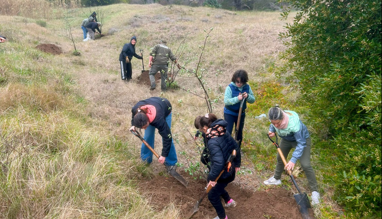Alumnos del Colegio Danés participaron de una jornada de plantación en el parque