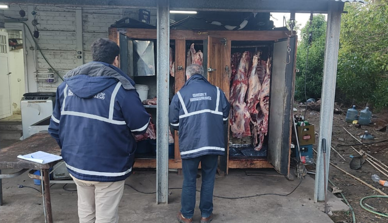 En un operativo conjunto secuestraron animales, carne faenada y armas de fuego
