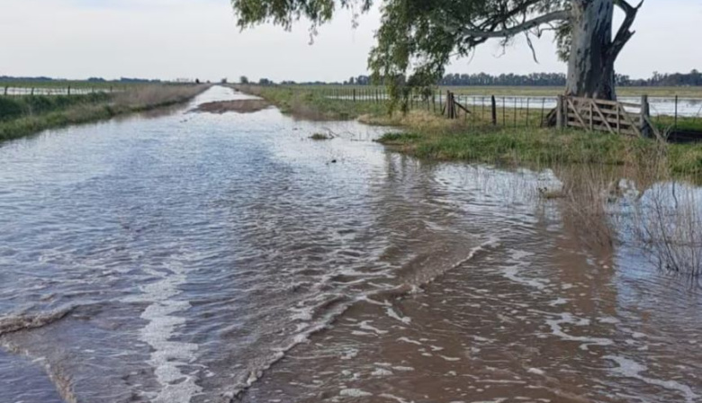 Productores rurales desesperados por las inundaciones: “Desde marzo que estamos bajo el agua”
