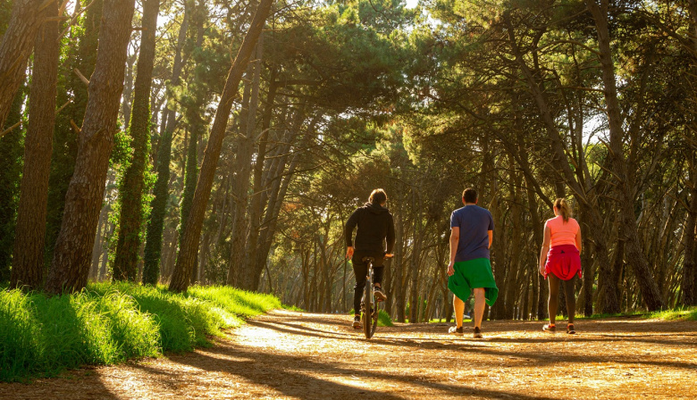 Invitan a actividades gratuitas en vísperas del Retiro Internacional de Yoga