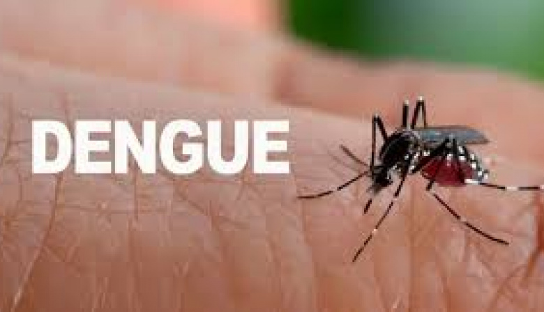 Dengue: Se investiga la causa de muerte de un hombre en Tandil