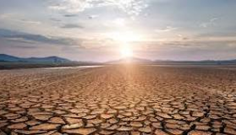 Emergencia Agropecuaria por Sequía: Buenos Aires Actúa para 12 Municipios