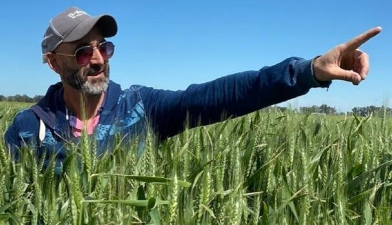 De la mano de la genética, el trigo creció tanto en Necochea que rompió los “techos”