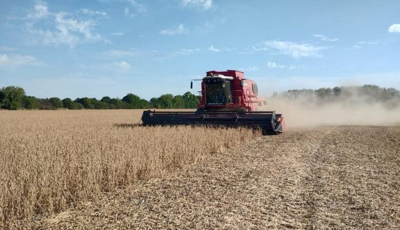 La sequía deja pérdidas millonarias: Más de 3 mil millones de dólares perdidos en el agro bonaerense
