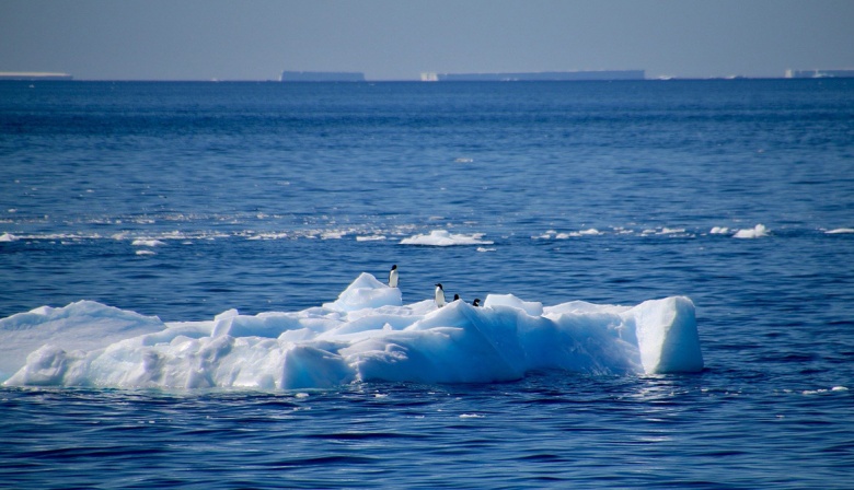 El calentamiento de los océanos se duplica y provoca olas de calor extremas en 2023