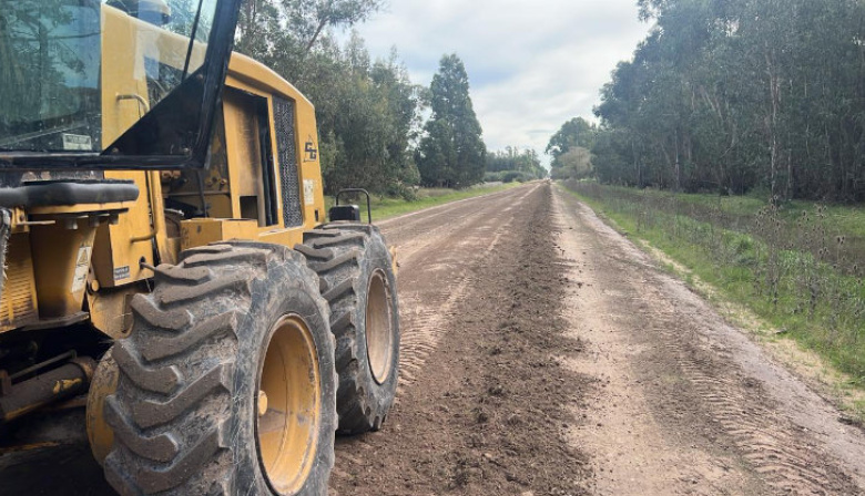 Trabajos del EMSUR en caminos rurales de todo el distrito