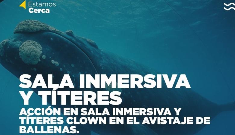 Vacaciones de invierno: instalarán un domo inmersivo sobre ballenas
