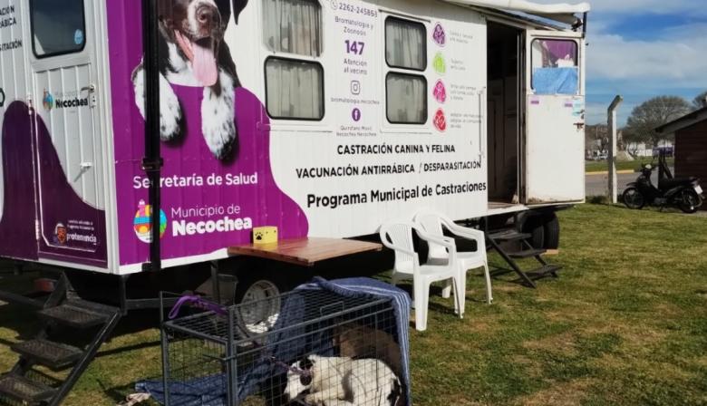 Este sábado habrá nueva jornada de castración masiva de mascotas