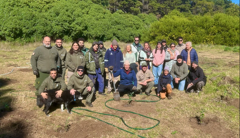 Jornada de plantación en el Parque Miguel Lillo con el objetivo de producir leña con fines sociales