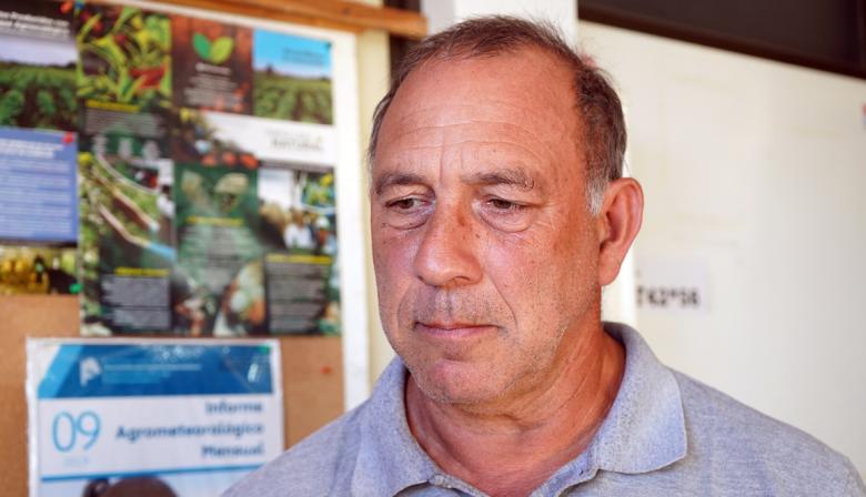 Situación del campo en Necochea: A pesar de la humedad, la producción se mantiene positiva