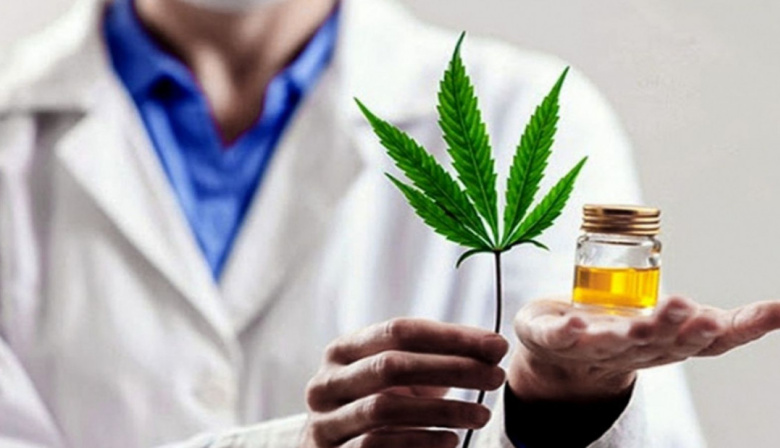 Impulsan la creación de un registro local de cannabis medicinal en Necochea