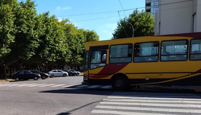 Transporte: anunciaron modificaciones en recorridos de algunas líneas para este sábado