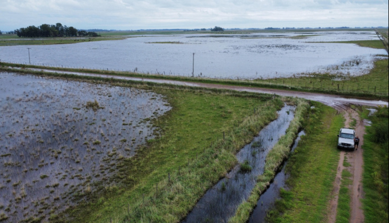 Inundaciones sin precedentes: el campo bonaerense enfrenta su peor crisis en años