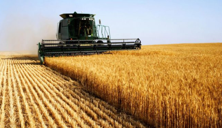 El agro liquidó USD 34.500 millones hasta octubre y 2025 ya es el tercer mejor año en aporte de divisas