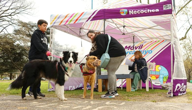 Pasó con éxito una nueva jornada de vacunación antirrábica