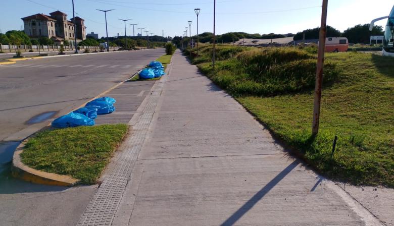 La gestión intensifica las tareas de mantenimiento y acondicionamiento en espacios públicos