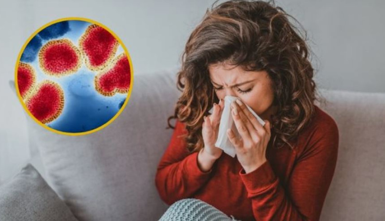 Irungaray habló sobre el adelanto de la gripe H3N2 en Europa, una variante muy contagiosa