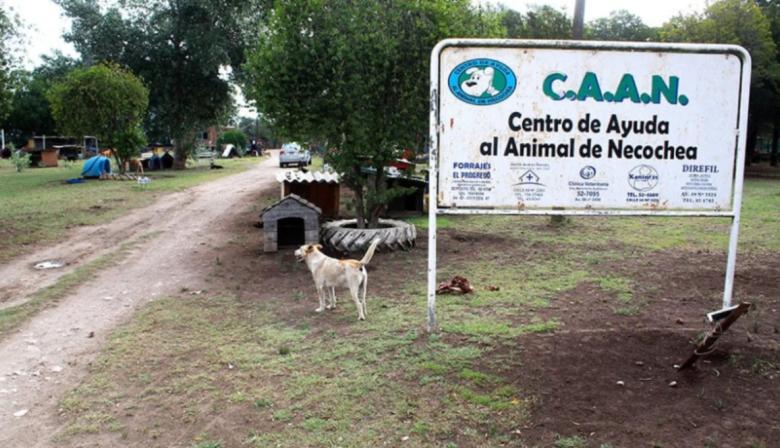 Estafas: El CAAN advierte por falsos cobros de estacionamiento en la Villa Balnearia