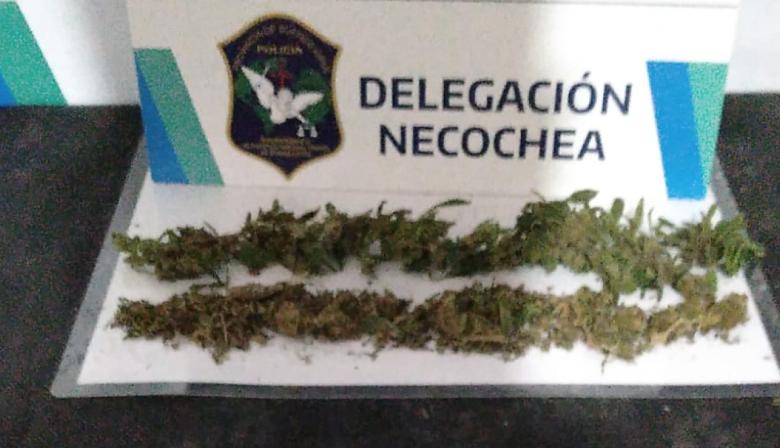 Allanamientos en Necochea: detienen a un hombre por venta de estupefacientes