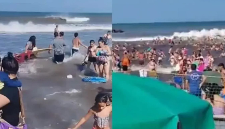 El relato de un guardavidas que salvó a cinco personas arrastradas por la ola gigante en la Costa Atlántica