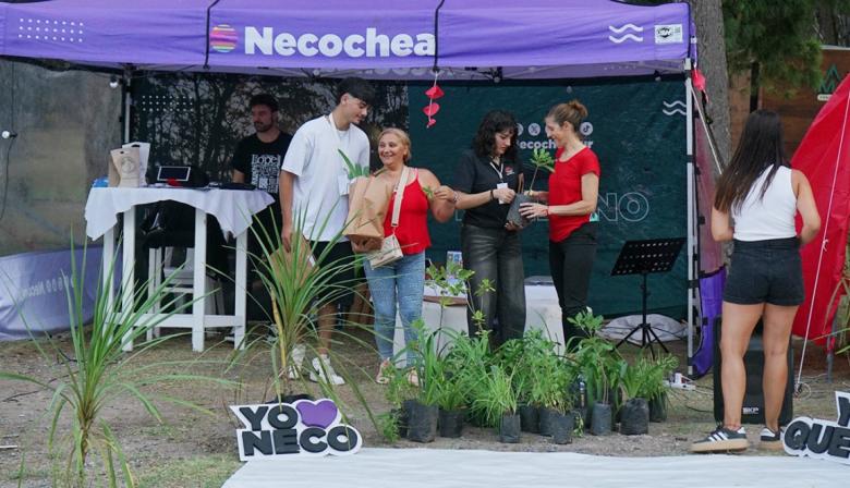 Llega el evento “Pino Piñonero”: Naturaleza, cultura y encuentro en el corazón del parque