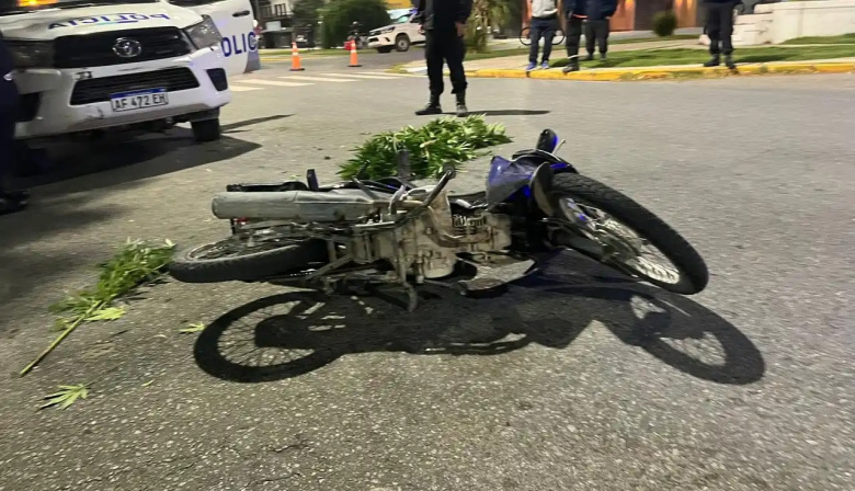 ¿Motachorros? Persecución policial terminó con un choque y el secuestro de una planta de marihuana