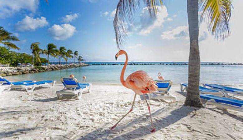 Investigan un supuesto viaje de Manuel Adorni a Aruba en medio de la causa por su patrimonio