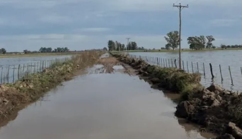 El INTA relevó 25.700 hectáreas bajo agua en Necochea y advierte por fuertes pérdidas productivas