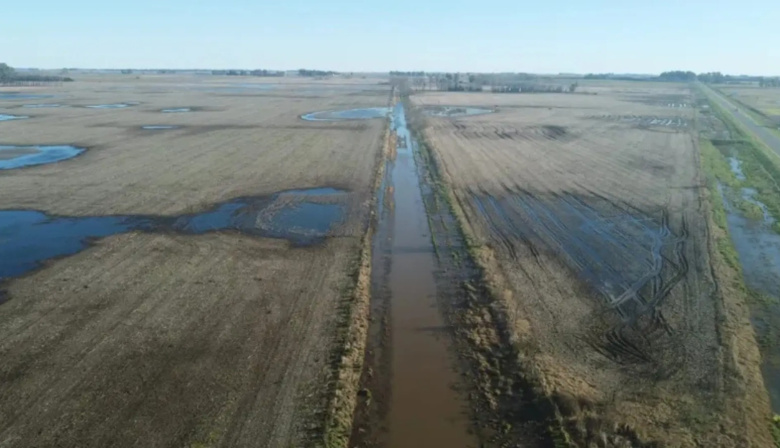 Buscan que la Provincia declare la emergencia agropecuaria por las inundaciones en el distrito