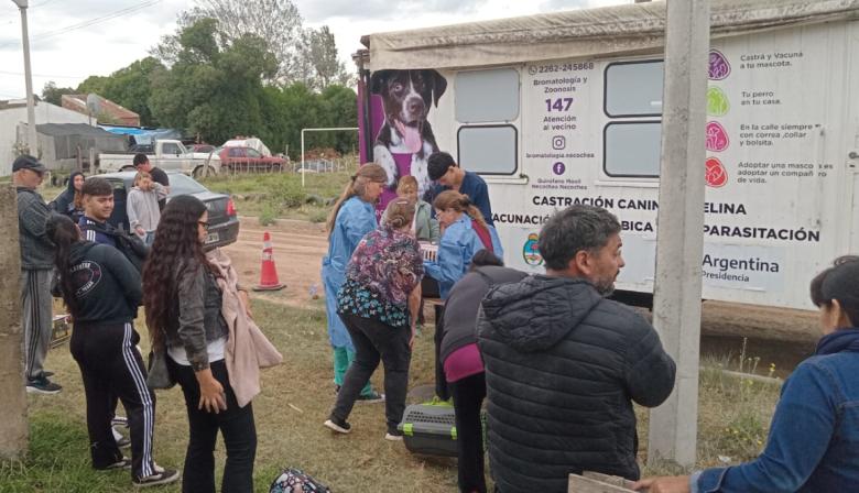 Jornada gratuita de castración masiva este sábado en Quequén