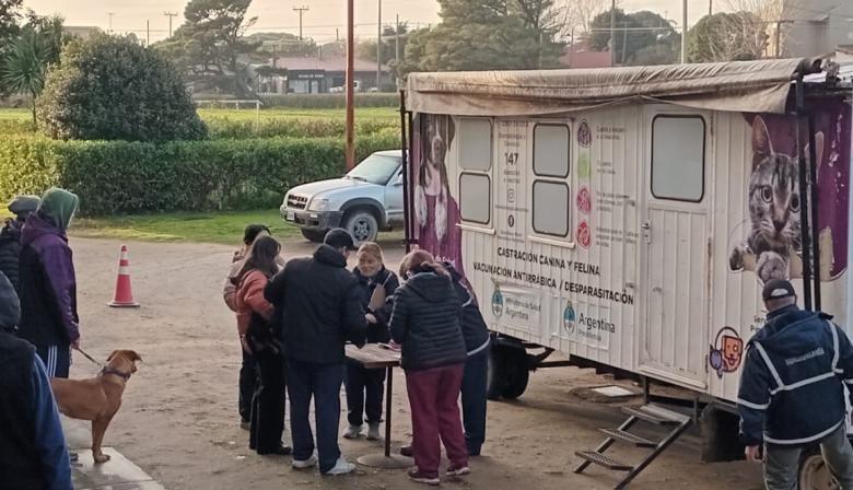 Se realizó una nueva jornada de castración masiva y habrá atención temporal del quirófano en el Corralón