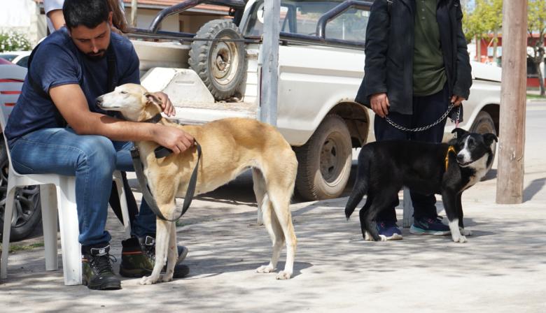 Este sábado habrá una nueva jornada gratuita de castración de mascotas