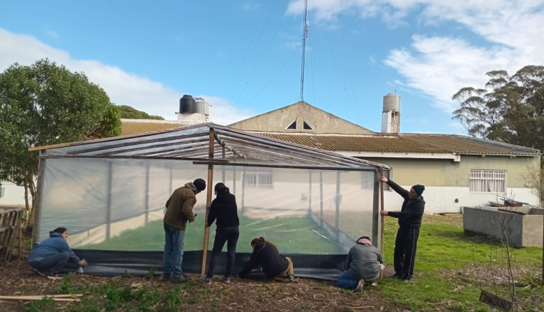 Puerto Ciudad desarrolla un invernáculo para aprender, producir y construir territorio en Costa Bonita