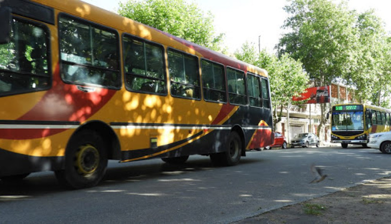 Buscan destrabar la crisis del transporte: tres empresas analizan desembarcar en Necochea