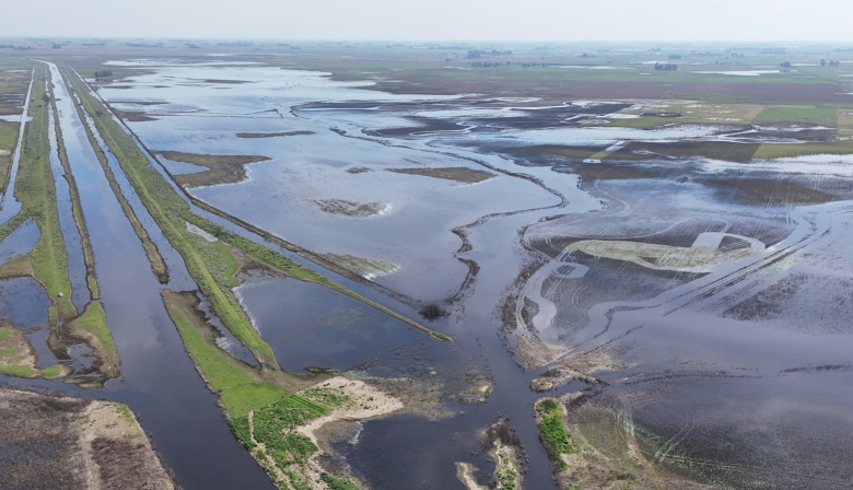 Nación declaró la emergencia agropecuaria por inundaciones en parte del distrito