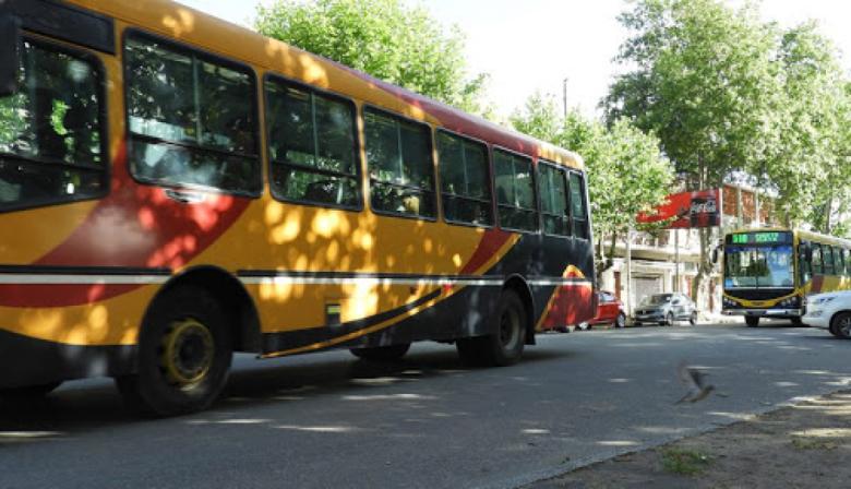 Colectivos en Necochea: los “micros azules” evaluarán si vuelven a competir por la concesión