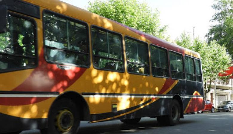 Nuevo pliego para los colectivos: el Ejecutivo prepara cambios en recorridos y frecuencias