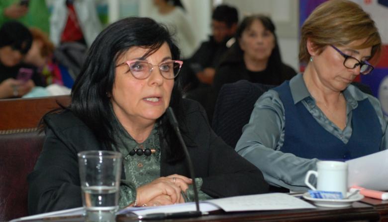 Micros: el oficialismo de Nueva Necochea cuestionó a la oposición por el tratamiento de la prórroga