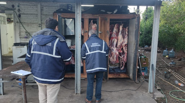 En un operativo conjunto secuestraron animales, carne faenada y armas de fuego