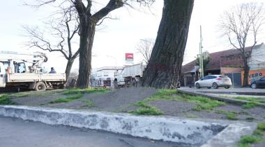 Reacondicionan la dársena de estacionamiento en la Av. 59 entre 44 y 46