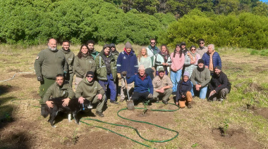 Jornada de plantación en el Parque Miguel Lillo con el objetivo de producir leña con fines sociales