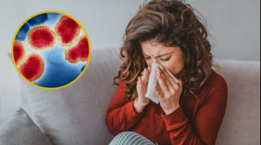 Irungaray habló sobre el adelanto de la gripe H3N2 en Europa, una variante muy contagiosa