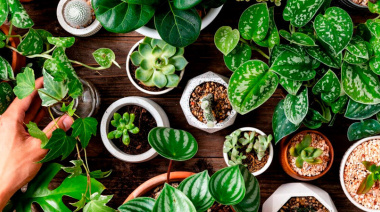 Abren el vivero y la huerta de Flor de Pan como espacio comunitario