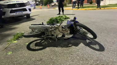 ¿Motachorros? Persecución policial terminó con un choque y el secuestro de una planta de marihuana