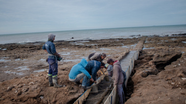 Puerto Quequén avanza con un plan de reparación y protección en Punta Carballido