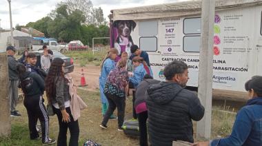 Jornada gratuita de castración masiva este sábado en Quequén