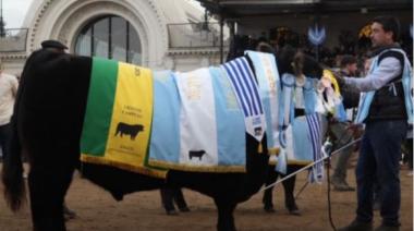 Orgullo necochense: un toro de La Dulce hizo historia al consagrarse Gran Campeón Macho Angus en la Expo Palermo 2026